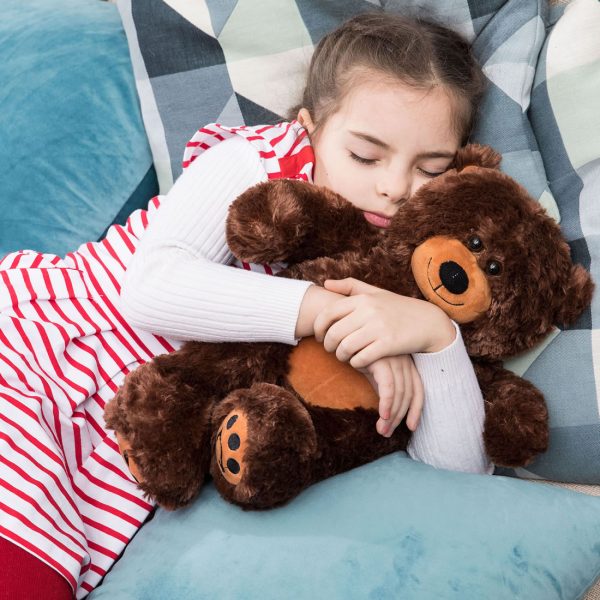 Teddy Bear Gift For Baby/Girlfriend/Mom 10 Inches Dark Brown - Image 5