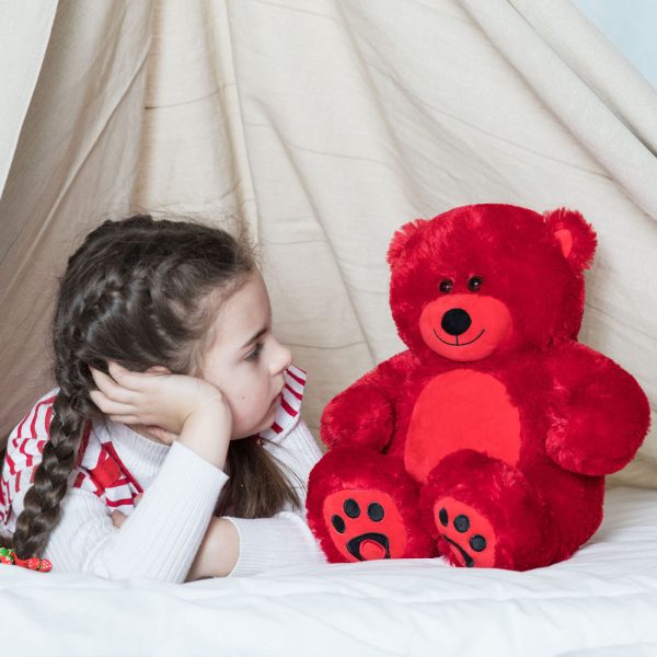 Teddy Bear Gift For Baby/Girlfriend/Mom 10 Inches Red - Image 2
