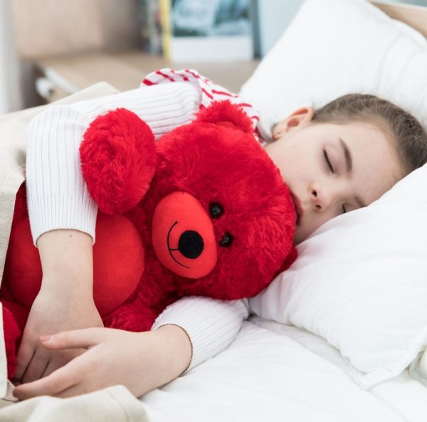 Teddy Bear Gift For Baby/Girlfriend/Mom 10 Inches Red - Image 3
