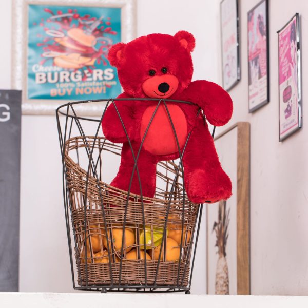 Teddy Bear Gift For Baby/Girlfriend/Mom 10 Inches Red - Image 10