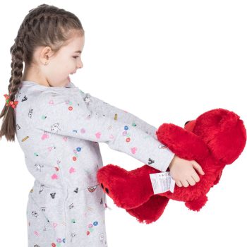 Daney teddy bear 25 red 019