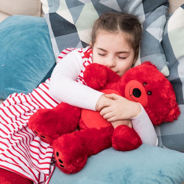 Teddy Bear Gift For Baby/Girlfriend/Mom 10 Inches Red - Image 20