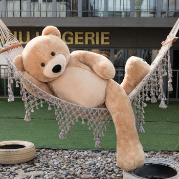 Daney teddy bear 6foot light brown 011