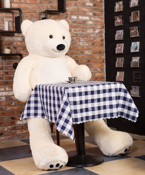 teddy big foot