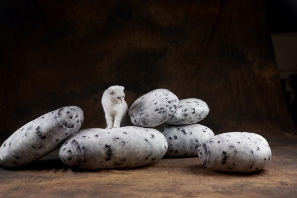 Living Pebble Pillows Floor Stone Cushions - Image 3
