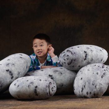 pebble cushions rock pillows 9036 05