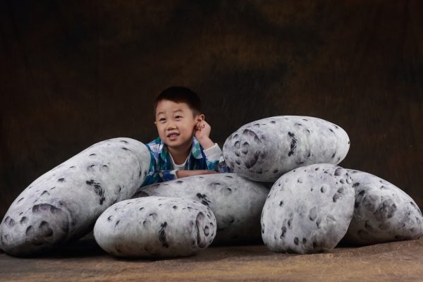 Living Pebble Pillows Floor Stone Cushions - Image 6