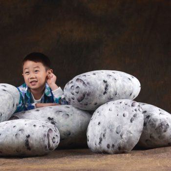 Living Pebble Pillows Floor Stone Cushions