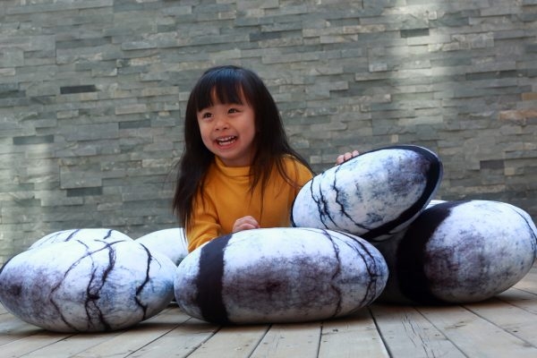 Living Stone Pillows Floor Stone Cushions - Image 9